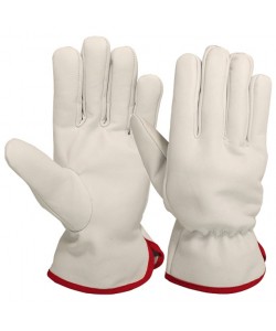 Driving Gloves